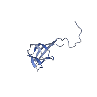 11591_7a02_B_v1-2
Bacillus endospore appendages form a novel family of disulfide-linked pili
