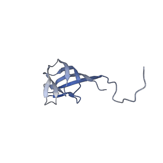 11591_7a02_C_v1-2
Bacillus endospore appendages form a novel family of disulfide-linked pili