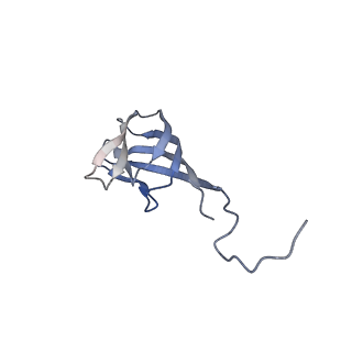 11591_7a02_D_v1-2
Bacillus endospore appendages form a novel family of disulfide-linked pili