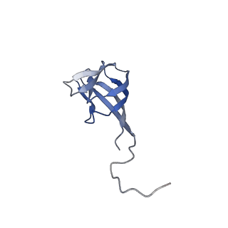 11591_7a02_E_v1-2
Bacillus endospore appendages form a novel family of disulfide-linked pili