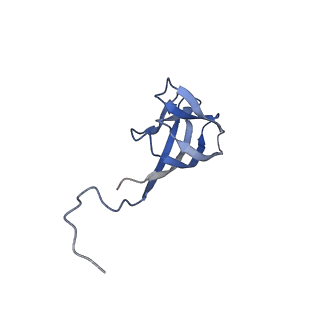 11591_7a02_G_v1-2
Bacillus endospore appendages form a novel family of disulfide-linked pili
