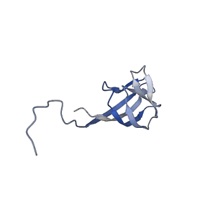 11591_7a02_H_v1-2
Bacillus endospore appendages form a novel family of disulfide-linked pili
