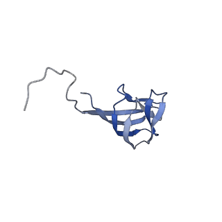 11591_7a02_I_v1-2
Bacillus endospore appendages form a novel family of disulfide-linked pili