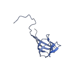 11591_7a02_J_v1-2
Bacillus endospore appendages form a novel family of disulfide-linked pili