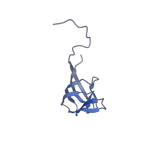 11591_7a02_K_v1-2
Bacillus endospore appendages form a novel family of disulfide-linked pili