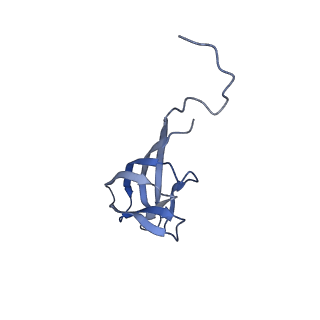 11591_7a02_L_v1-2
Bacillus endospore appendages form a novel family of disulfide-linked pili