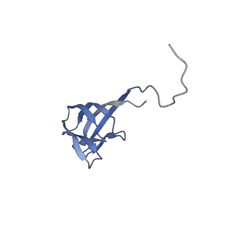 11591_7a02_M_v1-2
Bacillus endospore appendages form a novel family of disulfide-linked pili