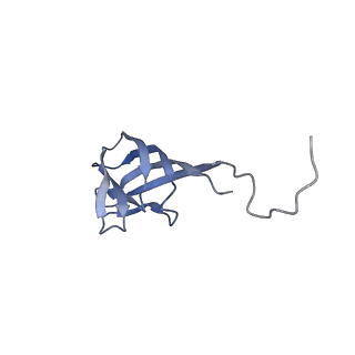11591_7a02_N_v1-2
Bacillus endospore appendages form a novel family of disulfide-linked pili