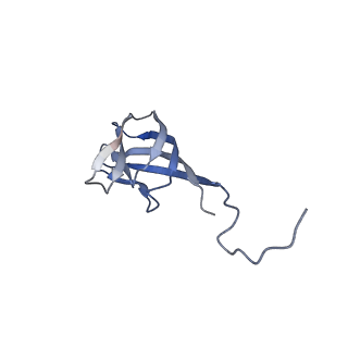 11591_7a02_O_v1-2
Bacillus endospore appendages form a novel family of disulfide-linked pili