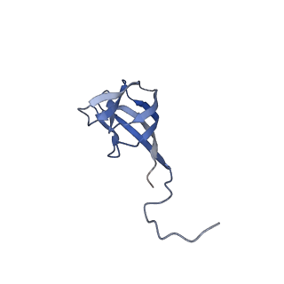11591_7a02_P_v1-2
Bacillus endospore appendages form a novel family of disulfide-linked pili