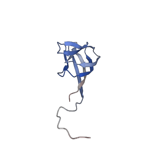 11591_7a02_Q_v1-2
Bacillus endospore appendages form a novel family of disulfide-linked pili