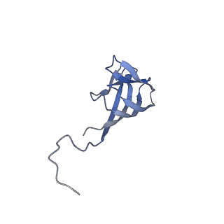 11591_7a02_R_v1-2
Bacillus endospore appendages form a novel family of disulfide-linked pili
