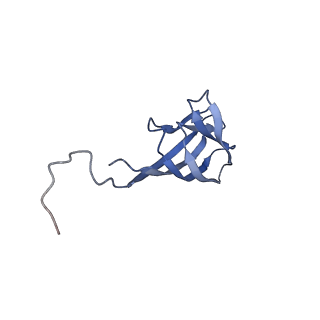 11591_7a02_S_v1-2
Bacillus endospore appendages form a novel family of disulfide-linked pili
