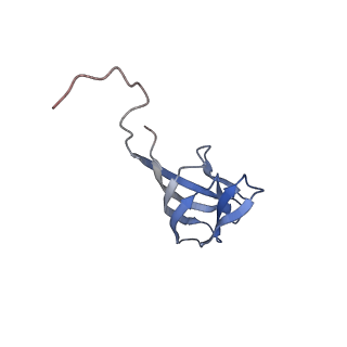 11591_7a02_T_v1-2
Bacillus endospore appendages form a novel family of disulfide-linked pili