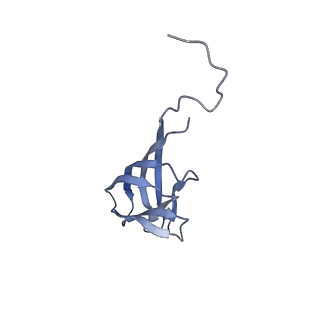 11591_7a02_U_v1-2
Bacillus endospore appendages form a novel family of disulfide-linked pili