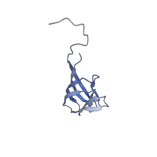 11591_7a02_V_v1-2
Bacillus endospore appendages form a novel family of disulfide-linked pili