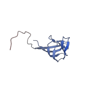 11591_7a02_W_v1-2
Bacillus endospore appendages form a novel family of disulfide-linked pili