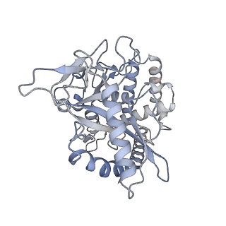11601_7a08_a_v1-2
CryoEM Structure of cGAS Nucleosome complex