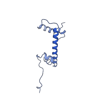 11601_7a08_b_v1-2
CryoEM Structure of cGAS Nucleosome complex