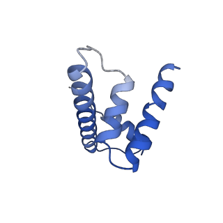 11601_7a08_c_v1-2
CryoEM Structure of cGAS Nucleosome complex