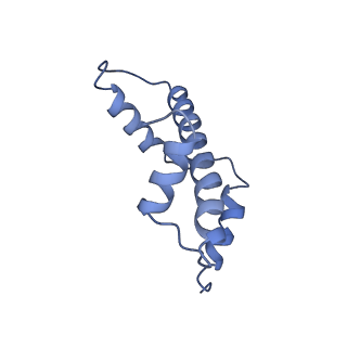 11601_7a08_d_v1-2
CryoEM Structure of cGAS Nucleosome complex