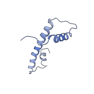 11601_7a08_h_v1-2
CryoEM Structure of cGAS Nucleosome complex