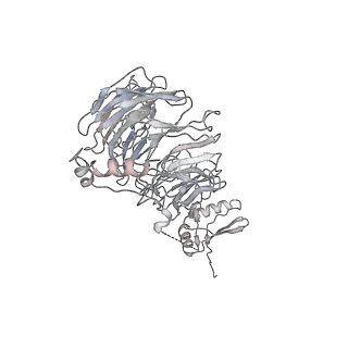 11602_7a09_B_v1-2
Structure of a human ABCE1-bound 43S pre-initiation complex - State III