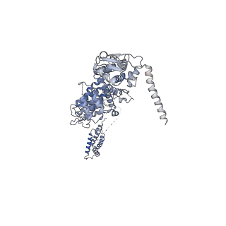 11602_7a09_C_v1-2
Structure of a human ABCE1-bound 43S pre-initiation complex - State III