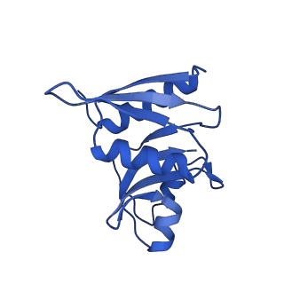 11602_7a09_D_v1-2
Structure of a human ABCE1-bound 43S pre-initiation complex - State III
