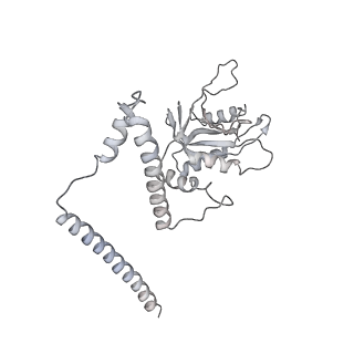 11602_7a09_F_v1-2
Structure of a human ABCE1-bound 43S pre-initiation complex - State III