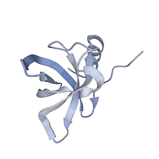 11602_7a09_G_v1-2
Structure of a human ABCE1-bound 43S pre-initiation complex - State III
