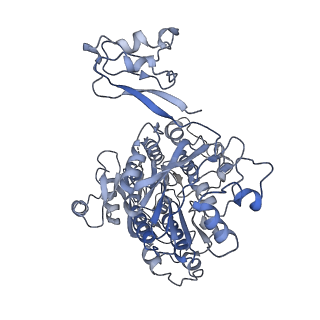 11602_7a09_J_v1-2
Structure of a human ABCE1-bound 43S pre-initiation complex - State III