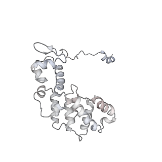 11602_7a09_K_v1-2
Structure of a human ABCE1-bound 43S pre-initiation complex - State III