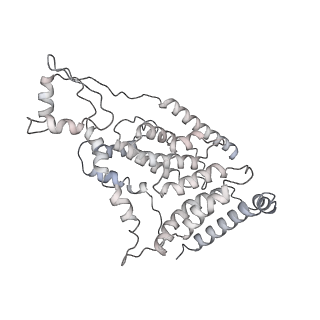 11602_7a09_L_v1-2
Structure of a human ABCE1-bound 43S pre-initiation complex - State III