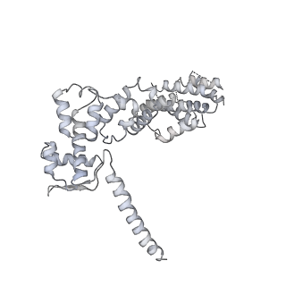 11602_7a09_M_v1-2
Structure of a human ABCE1-bound 43S pre-initiation complex - State III