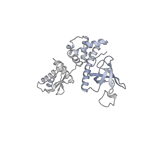 11602_7a09_O_v1-2
Structure of a human ABCE1-bound 43S pre-initiation complex - State III