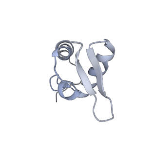 11602_7a09_P_v1-2
Structure of a human ABCE1-bound 43S pre-initiation complex - State III