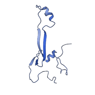 11602_7a09_Q_v1-2
Structure of a human ABCE1-bound 43S pre-initiation complex - State III