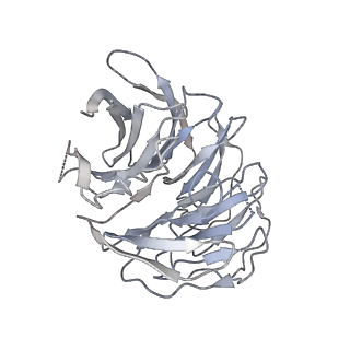 11602_7a09_V_v1-2
Structure of a human ABCE1-bound 43S pre-initiation complex - State III
