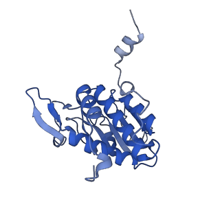 11602_7a09_a_v1-2
Structure of a human ABCE1-bound 43S pre-initiation complex - State III