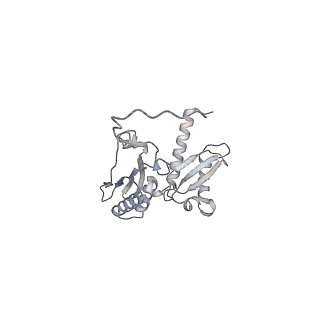 11602_7a09_b_v1-2
Structure of a human ABCE1-bound 43S pre-initiation complex - State III