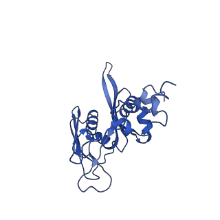 11602_7a09_d_v1-2
Structure of a human ABCE1-bound 43S pre-initiation complex - State III