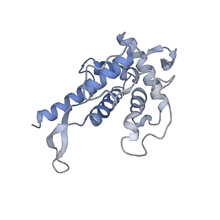 11602_7a09_e_v1-2
Structure of a human ABCE1-bound 43S pre-initiation complex - State III