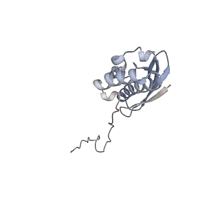 11602_7a09_g_v1-2
Structure of a human ABCE1-bound 43S pre-initiation complex - State III
