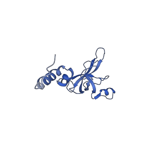 11602_7a09_j_v1-2
Structure of a human ABCE1-bound 43S pre-initiation complex - State III