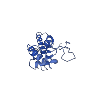 11602_7a09_m_v1-2
Structure of a human ABCE1-bound 43S pre-initiation complex - State III