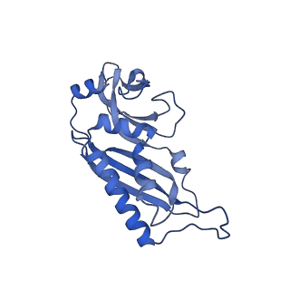 11602_7a09_p_v1-2
Structure of a human ABCE1-bound 43S pre-initiation complex - State III