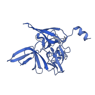 11602_7a09_q_v1-2
Structure of a human ABCE1-bound 43S pre-initiation complex - State III