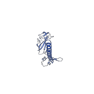 11602_7a09_r_v1-2
Structure of a human ABCE1-bound 43S pre-initiation complex - State III