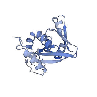 11602_7a09_s_v1-2
Structure of a human ABCE1-bound 43S pre-initiation complex - State III